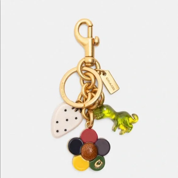 Coach | Accessories | Nwt Coach Limited Edition Cluster Bag